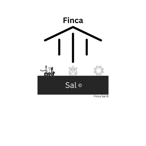 www.finca-sal.de